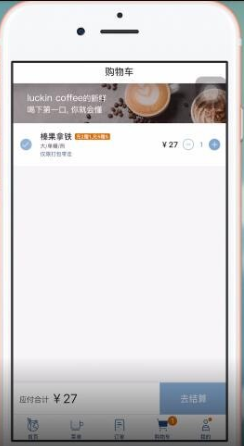 瑞幸咖啡app怎么只能用支付宝支付 瑞幸咖啡app修改支付方式教程(瑞幸咖啡APP怎么点单)