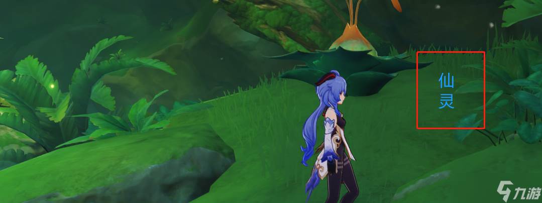 原神须弥宝箱全收集——