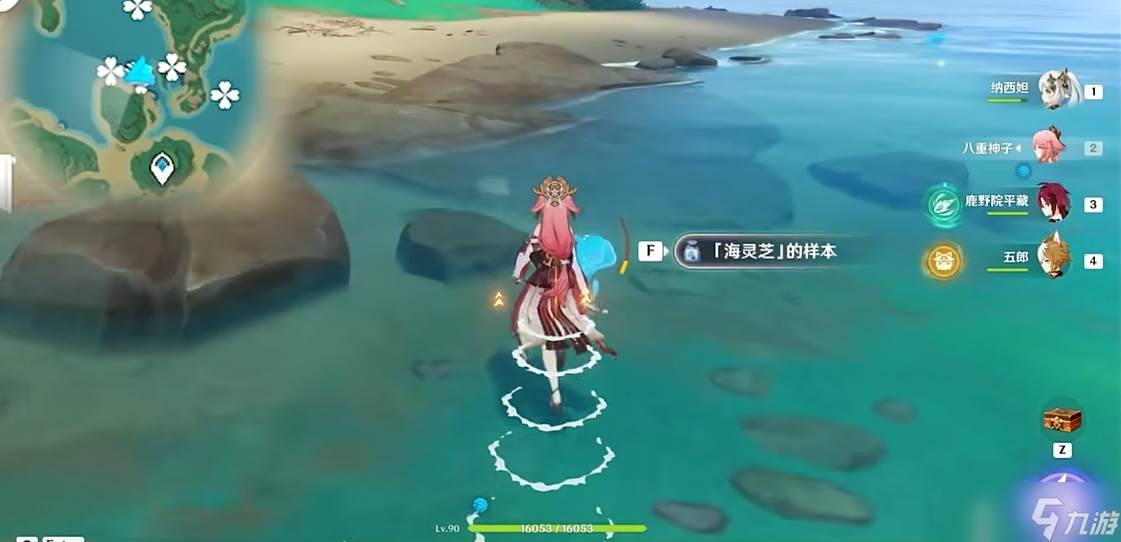 原神海灵芝在哪里在哪