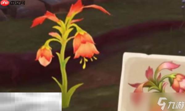 原神悼灵花在哪