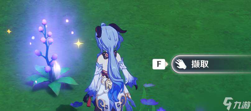 原神须弥宝箱全收集——