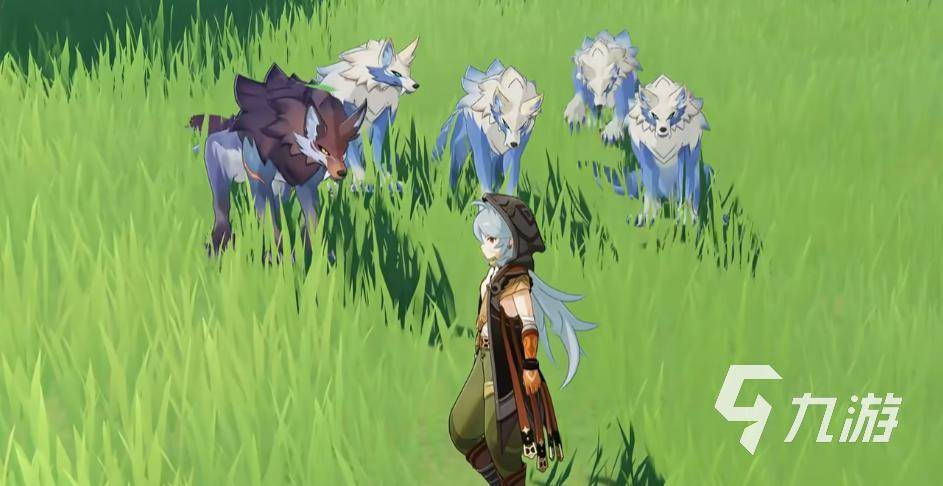 原神在哪里能找到狼