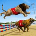 狮子赛跑3D