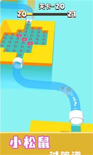 短腿小仓鼠图片