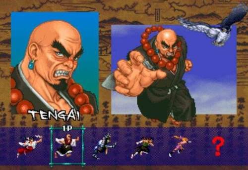 街头霸王2单机版无限币游戏截图2