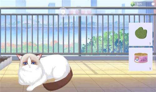 阳台玩法攻略配图1