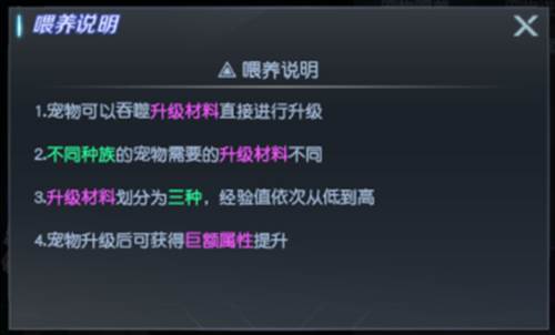 宠物系统详解配图2