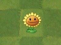 植物大战僵尸25