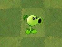 植物大战僵尸26