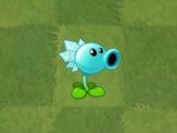 植物大战僵尸210