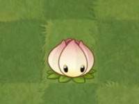 植物大战僵尸211