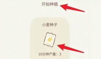 遇见你的猫破解版20239