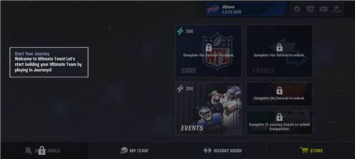 麦登橄榄球24中文版图片8