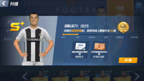 最佳11人高阶养成系统1