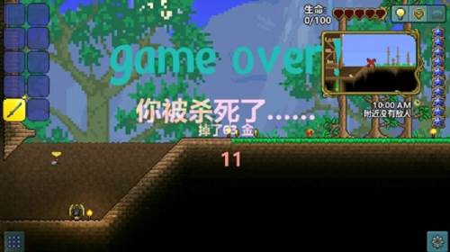 泰拉瑞亚刷物品方法6