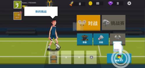 羽毛球高高手国际版中文版11