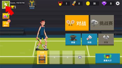 羽毛球高高手国际版中文版12