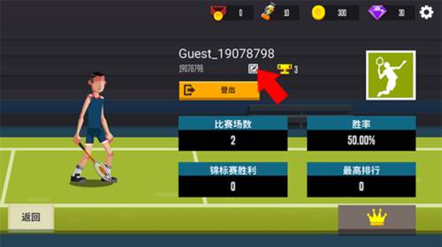 羽毛球高高手国际版中文版13