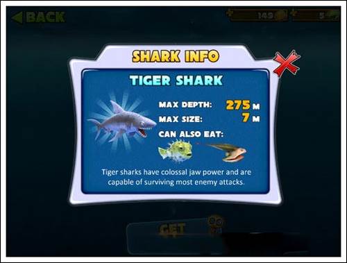 最强鲨鱼排名配图4