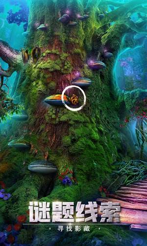 密室逃脱绝境系列2海盗船游戏截图2