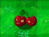 部分植物介绍配图3