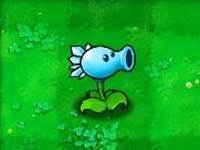 部分植物介绍配图6