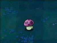 部分植物介绍配图9