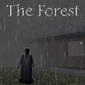 兰德里纳河的森林雨天mod整合包 _The Forest - It's Rainy