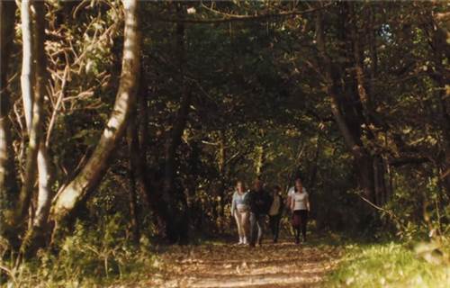 血岸岛中文版新手攻略7