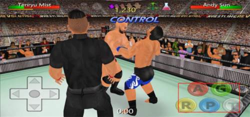 摔跤革命3D新手攻略5