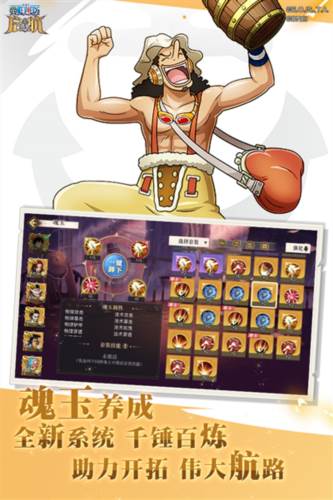 航海王启航oppo版宣传图
