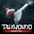 Taekwondo Grand Prix最新版