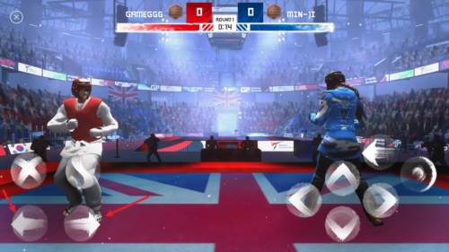 跆拳道大奖赛图片2