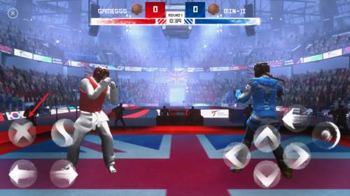 跆拳道大奖赛图片3