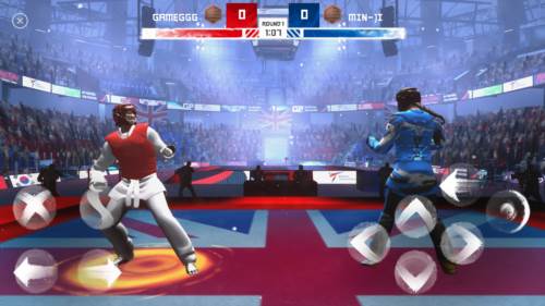 跆拳道大奖赛图片4