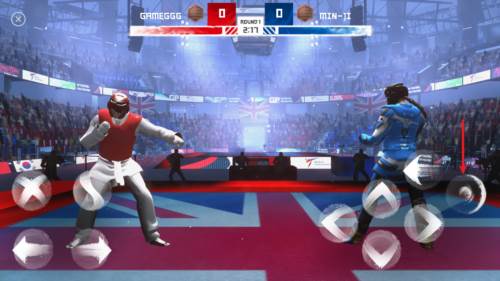 跆拳道大奖赛图片6