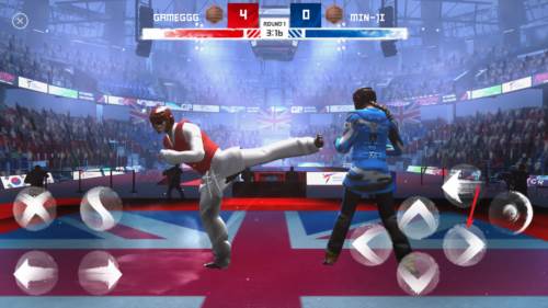 跆拳道大奖赛图片7