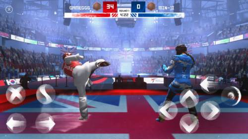 跆拳道大奖赛图片8