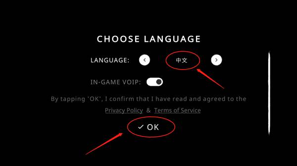 怎么设置中文配图2