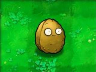 植物大战僵尸经典版游戏截图4