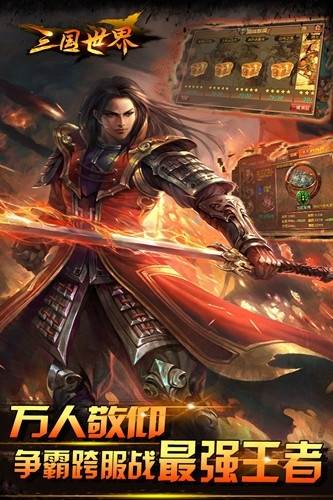 三国世界九游版游戏截图2