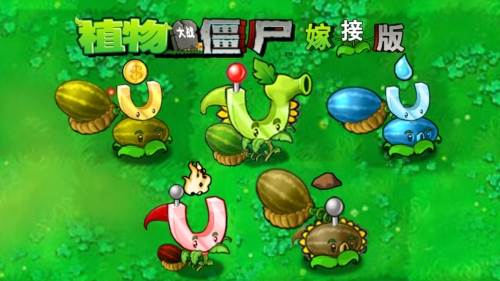 植物大战僵尸嫁接版游戏截图1