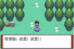 口袋妖怪特别篇赤9