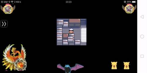 口袋妖怪冰雪城作弊版游戏截图5