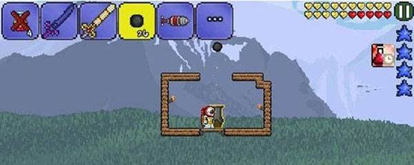 泰拉瑞亚1.4.0.5.1汉化版游戏截图12