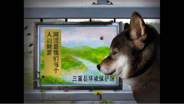 翌日波奇狗的历险记图片7