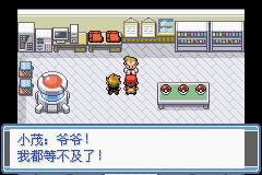 口袋妖怪永恒之炎12