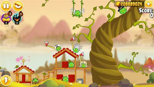 小鸟类型介绍配图1