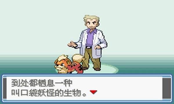 口袋妖怪永恒之焱游戏图片6