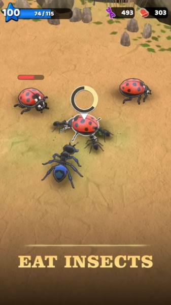 蚂蚁王国最新版1